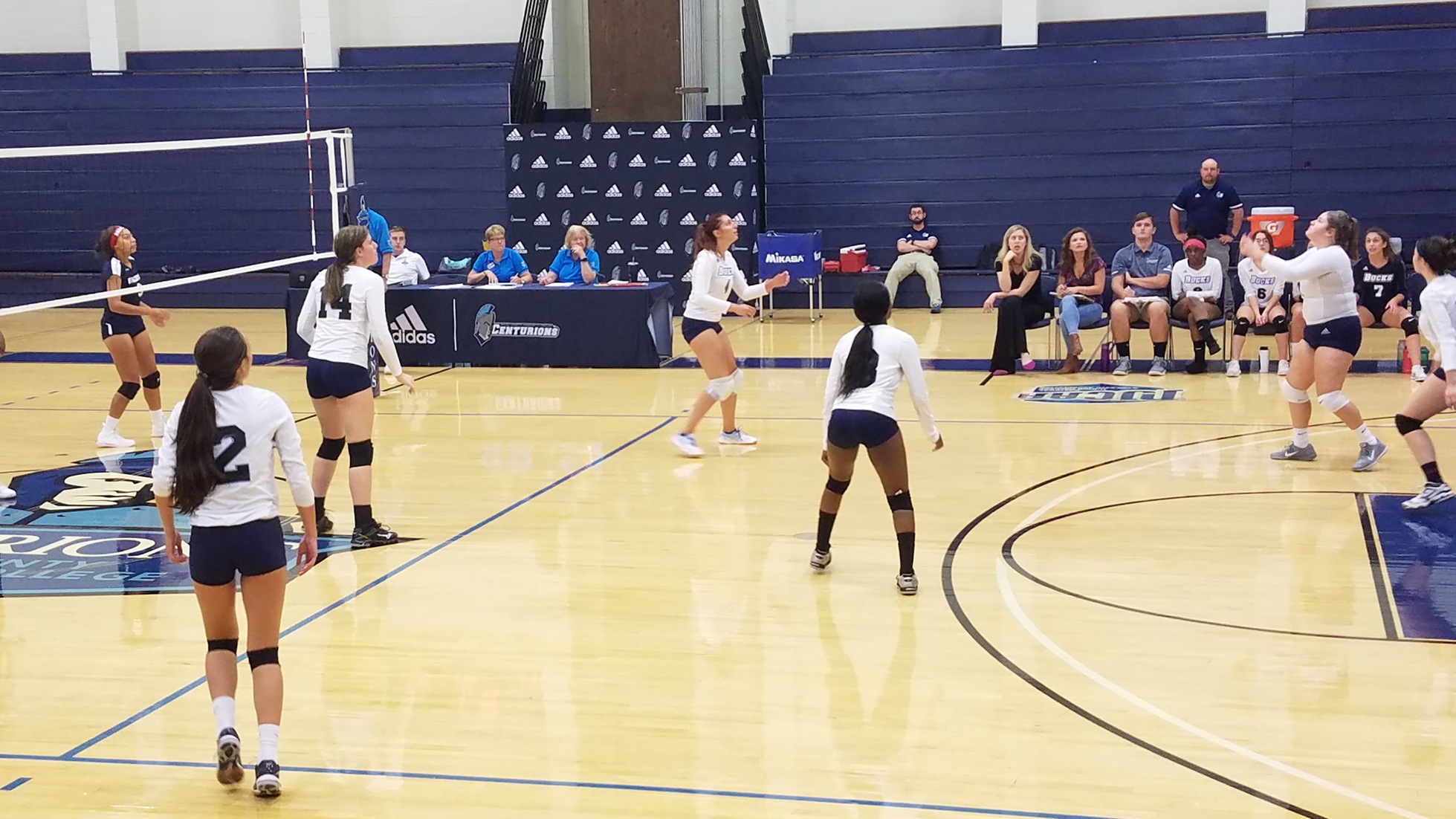 Women's Volleyball: Struggle with Gloucester