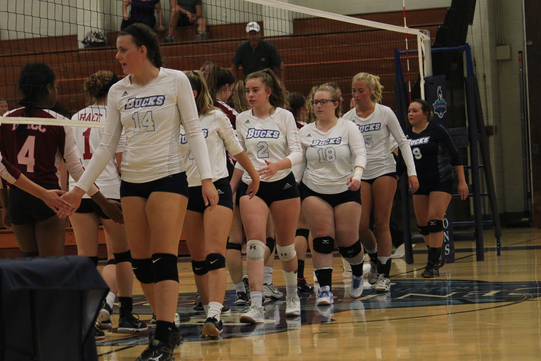Women's Volleyball: Fly past the Blue Jays